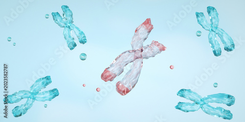 Chromosomal deletion is a type of structural mutation where a portion of a chromosome is missing or lost. Terminal Deletion, Photo stock