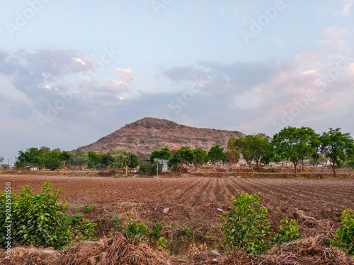 landscape of the field