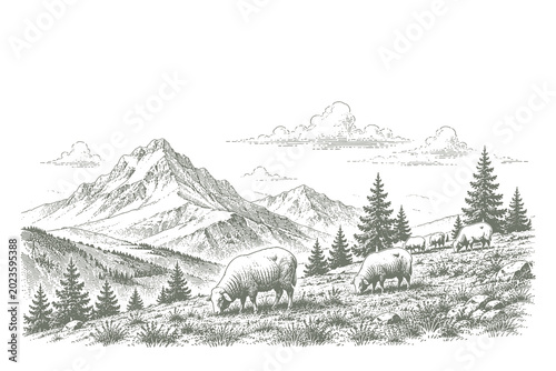 Retro engraving vector illustration of a flock of sheep grazing on a steep mountain slope with pine trees for nature themed layout.