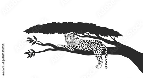Bilde på lerret Cheetah resting on tree branch high.