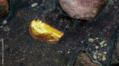 Bild auf Leinwand Gold nugget resting in shallow water among natural stones with dark texture repr