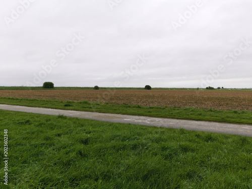 Εκτύπωση καμβά scenic and melancholic view of Mont Saint Michel on a leaden day