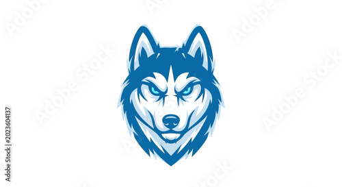 Foto Blue Husky Dog Face Portrait.