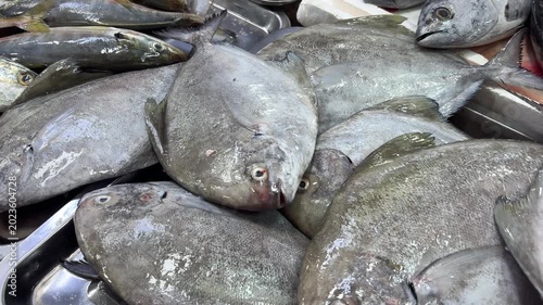 Close-up of freshly caught fish arranged on a stainless steel counter at a busy seafood market, showing local seafood trade and fresh fish prepared for sale.