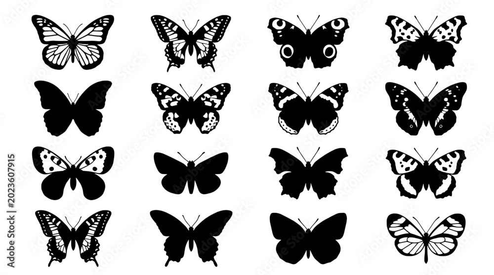 Fototapeta Butterflies silhouette and sketch icons set with detailed wings, speckled patterns, and symmetrical butterfly shapes in black and white