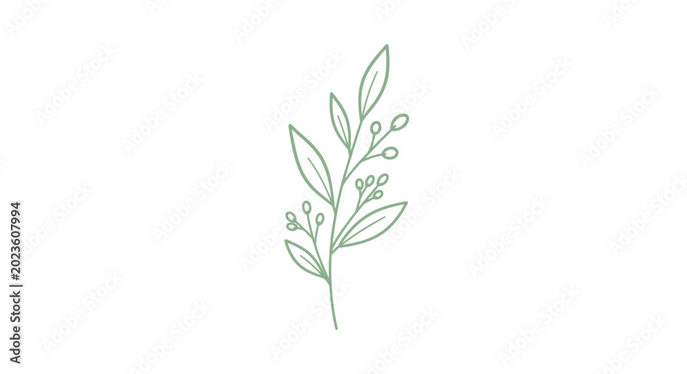 Fototapeta premium A single green plant stem.