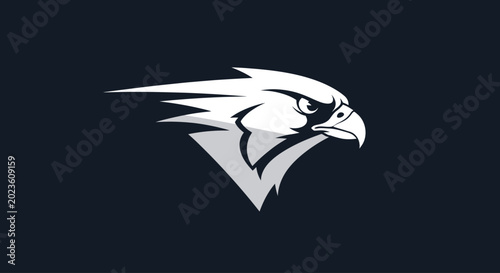 Tableau sur toile Eagle head logo profile view.