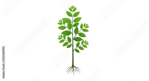 Green growing plant with roots isolated on white background vector illustration