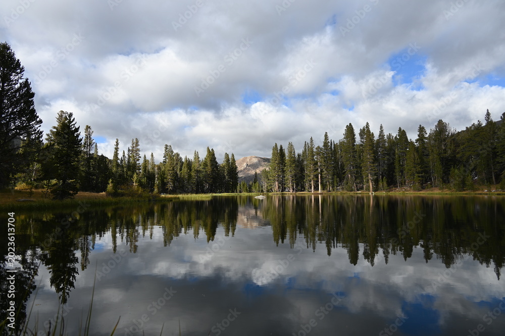 Fototapeta premium Perfect reflection of pine forest and cloudy sky on calm mountain lake water surface.