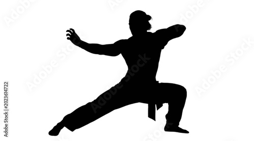 Tableau sur toile Black silhouette of man practicing kung fu isolated on transparent background, V