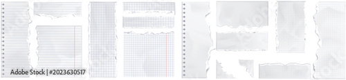 Ripped notebook paper blank notes template vector
