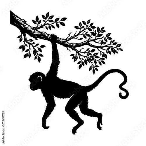 Photography Black monkey silhouette hanging from tree branch line art illustration