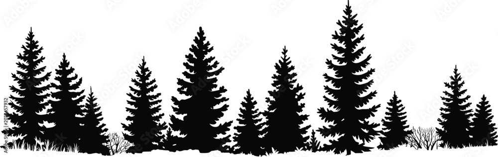 Obraz premium Black spruce and pine forest silhouette landscape with fir trees isolated on white background for minimalist nature outdoors winter design projects.