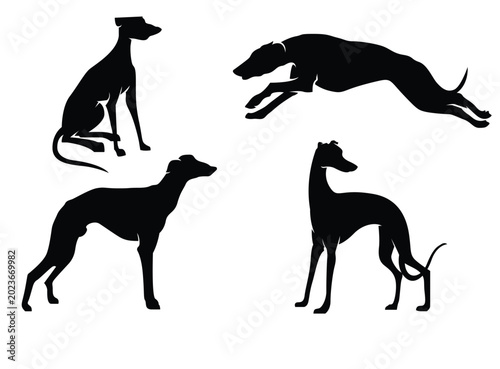 Cuadro en lienzo Black silhouette illustrations of greyhound dogs in various dynamic poses on tra