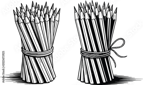 Photos Bundles of pencils vector illustration with art supplies drawing tools writing u