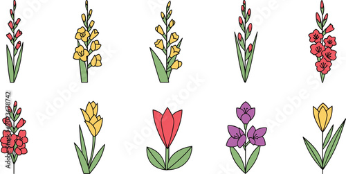 Tableau sur toile Gladiolus minimalist vector icon set featuring geometric colorful blooming flowe