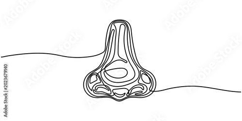 Fotografía Continuous line drawing of human nose anatomy,