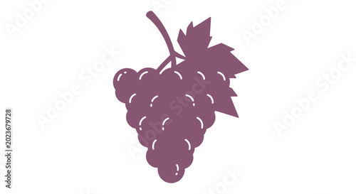 Purple grapes vector illustration on white background isolated for design