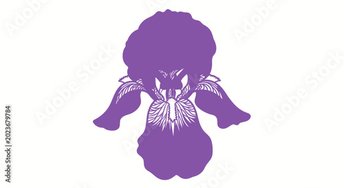 Purple iris flower vector illustration isolated on white background