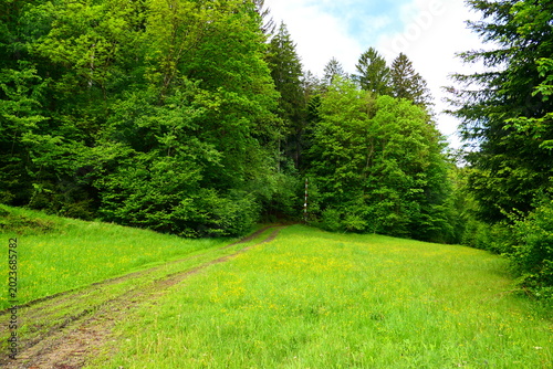 Fotografie landwirtschaftliche Wege in der Buckligen Welt, Aspang