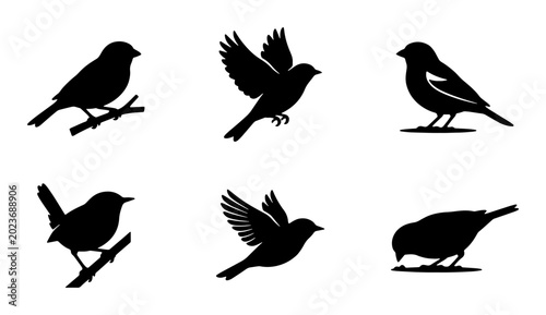 Billede på lærred Silhouette Bird Icons Set, Vector Graphics Collection of Avian Silhouettes in Fl