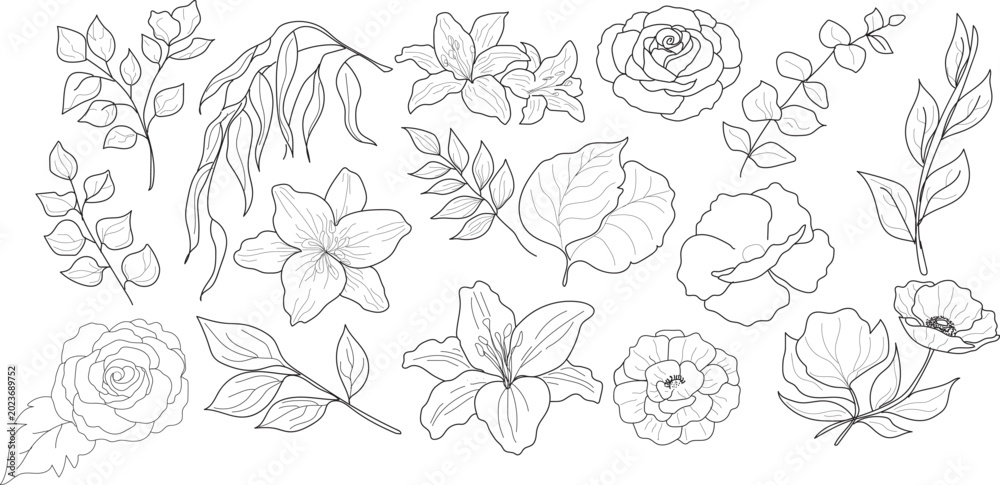 Fototapeta premium Floral and Botanical Line Art Vector Set: Elegant hand-drawn sketches of lilies, roses, eucalyptus leaves, and willow branches in outline and black silhouette styles. Minimalist line drawings and soli