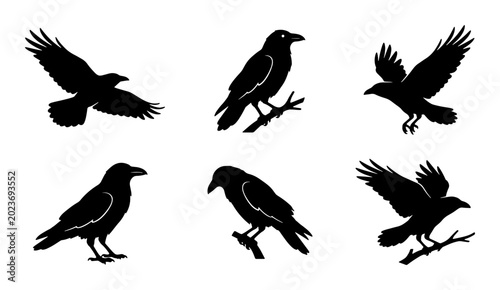Foto Silhouette Raven Icons, Black Bird Vector Set, Flying and Perching Corvid Graphi