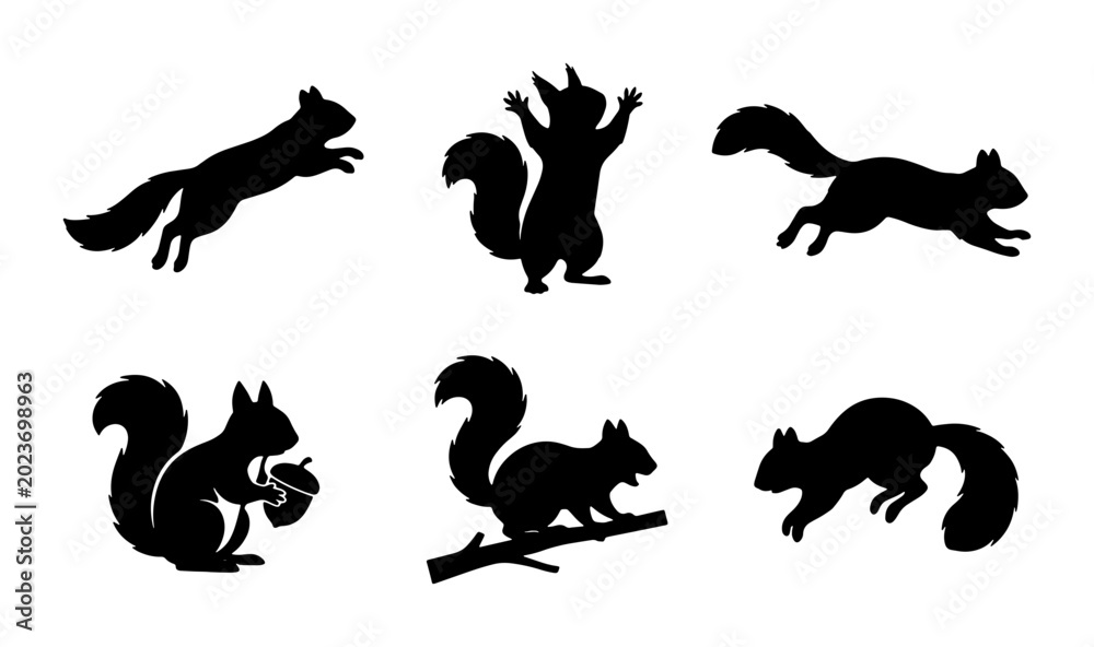 Fototapeta premium Set of Six Black Squirrel Silhouettes, Dynamic Poses, Vector Graphics for Wildlife and Nature Designs