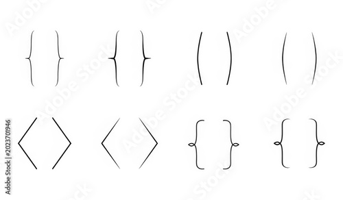 Set of Calligraphic Brackets and Braces Vector Illustration for Graphic Design and Typogra