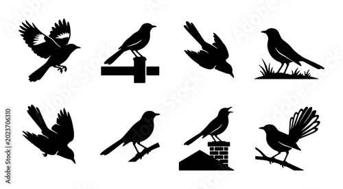 Foto Bird Silhouettes Collection, Avian Wildlife Vector Icons, Nature Wildlife Art, F