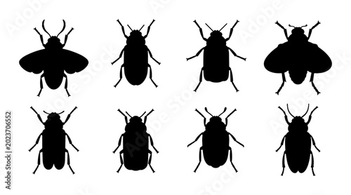Foto Insect Silhouettes Collection: Eight Diverse Beetle and Fly Vector Icons for Nat