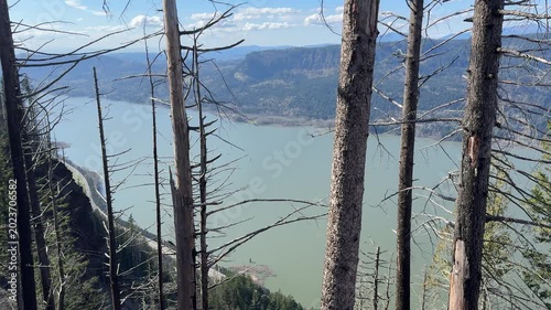 Wildfire Burn Scar Above Columbia River Gorge in Pacific Northwest