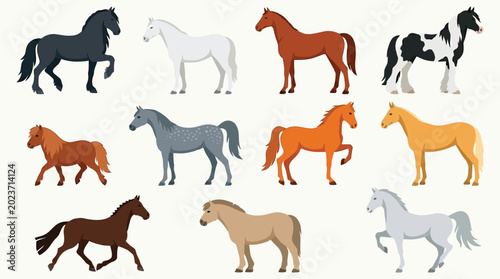 Obraz na płótnie Collection of horses flat vector illustration on a white background