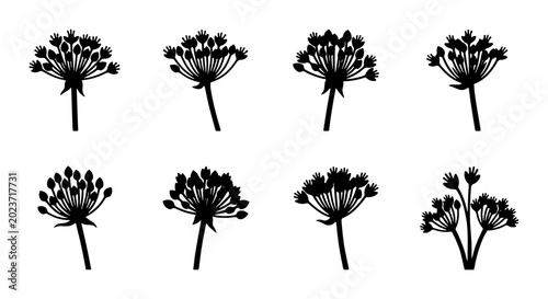 Tableau sur toile Umbel Flower Silhouettes, Delicate Botanical Vector Icons, Wildflower Seed Head