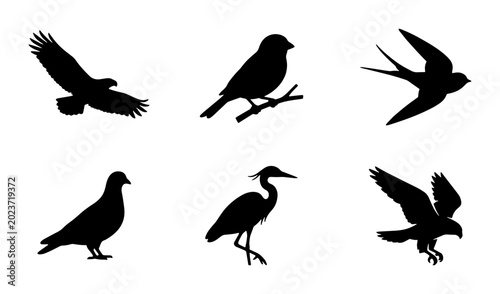 Diverse Bird Silhouettes Collection, Avian Wildlife Icons, Feathered Creatures Vector Set, Nature and Ornithology Graphics