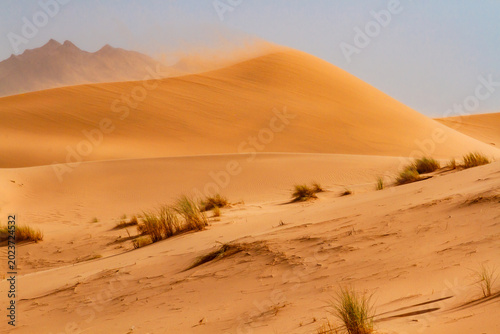 A view of the Sahara Desert. The vast dunes of Tin Merzouga. Fine sand shifting atop a dune. The Tadrart Rouge mountains in the background. Tassili N'Ajjer National Park, Algeria,  Africa