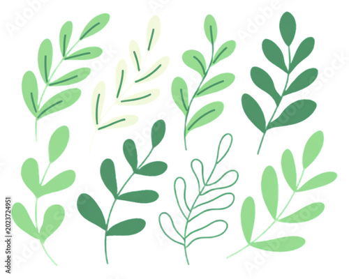 Collection of colorful botanical leaves and branches illustration Vector