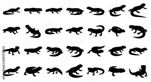 Tableau sur toile Collection of black lizard silhouettes in various poses on white background