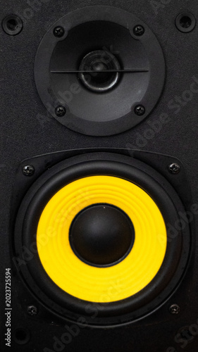 Vászonkép Close Up of Yellow Speaker Cone and Tweeter Audio Monitor