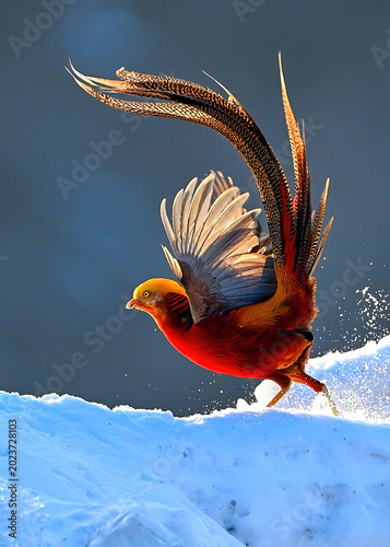 bird on a branch