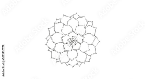 Bild auf Leinwand Floral rosette silhouette against black background high quality
