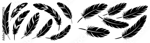 Foto Bird feathers collection showing various plume shapes in detailed black and whit