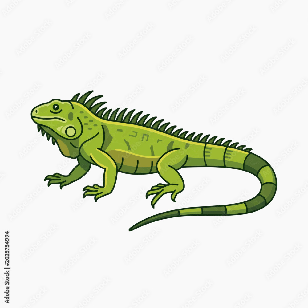 Fototapeta premium Green Iguana
