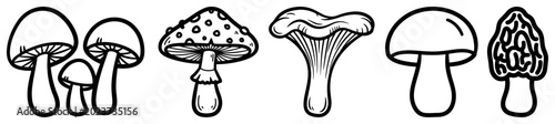 Canvastavla Mushrooms set including fly agaric and chanterelle in black and white line art s