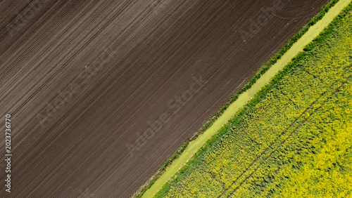 Top down aerial view of diagonal plowed agricultural soil and yellow canola field divided by green ditch agritech and sustainability concept