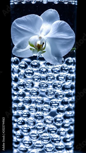 White orchid in bubbling water with sparkling beads