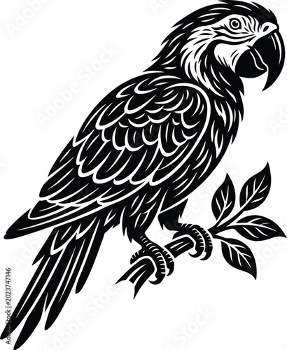 Fotografi Black and white parrot illustration with leafy branch