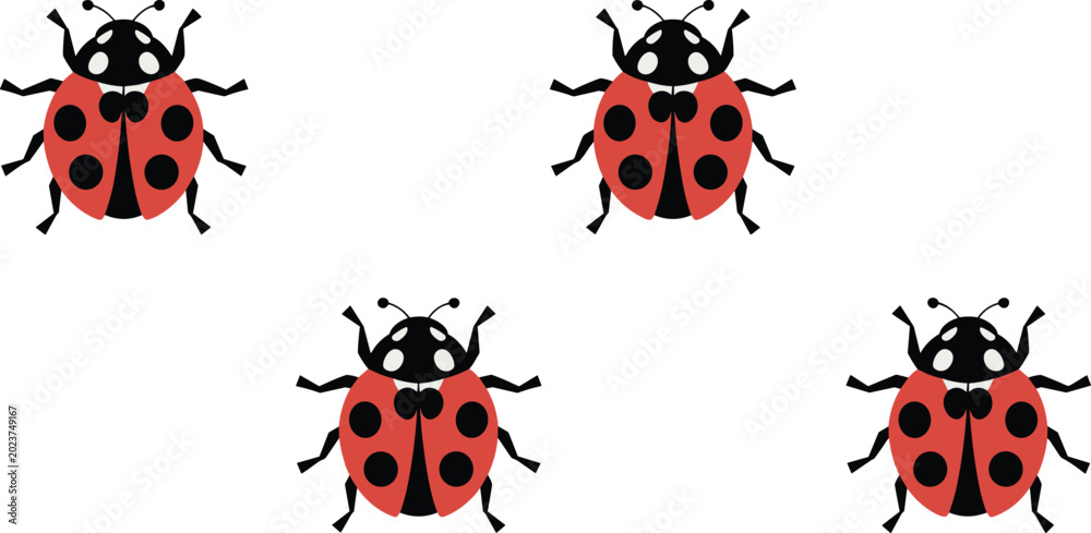 Fototapeta premium Colorful ladybug insect vector illustration set with red bodies, black spots, nature design and educational biology artwork