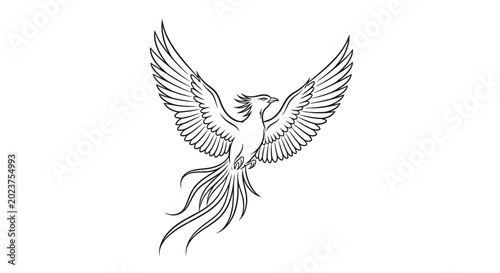 Bild auf Leinwand Phoenix bird illustration flying with spread wings and long tail feathers