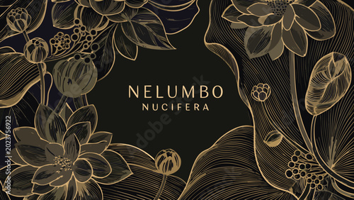 Obraz na plátne golden lotus flower illustration with botanical details and dark background arti